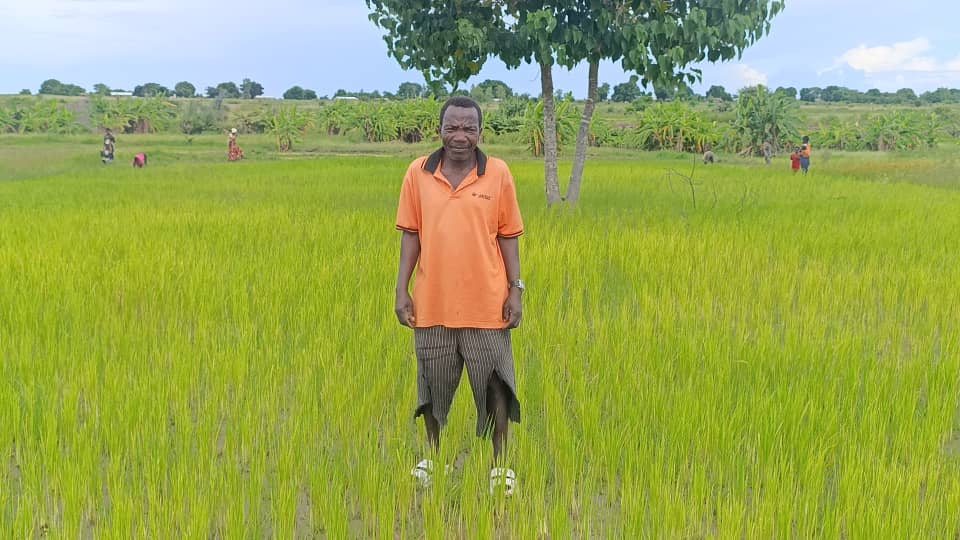 An Nur project photo